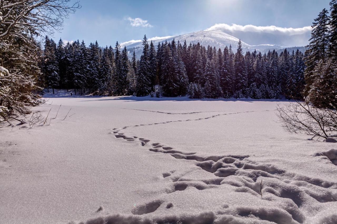 Chata Nella - Jasna Demänovská Dolina Buitenkant foto